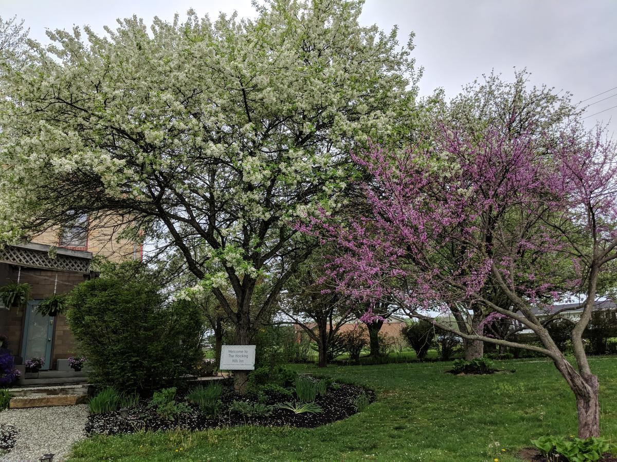 Hocking Hills Inn لوغان المظهر الخارجي الصورة